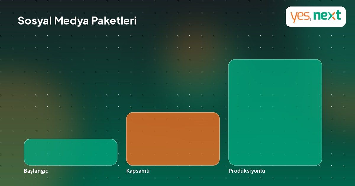Sosyal medya yönetimi paketlerini karşılaştıran infografik